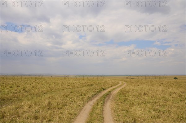 Savannah landscape with path and cloudy sky