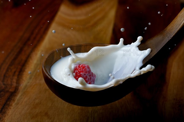 Fresh raspberry splashing milk on a wooden spoon