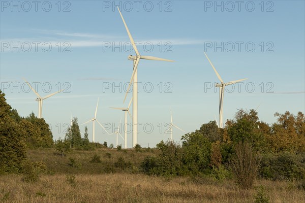 Wind turbines in the evening light against a blue sky on the Pakri peninsula near Paldiski