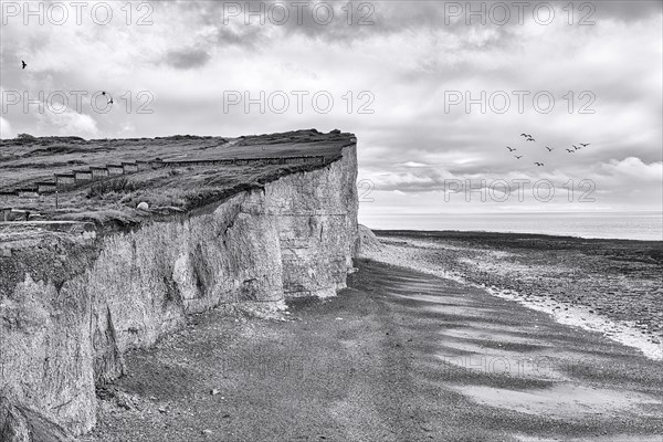 Seven Sisters chalk coast