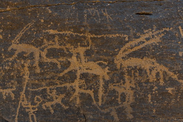 Rock carvings