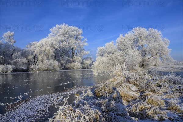 River landscape with hoarfrost and ice