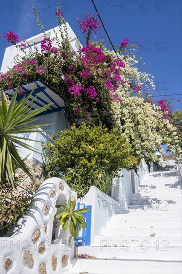 White house with flowers