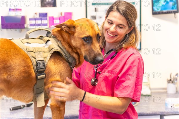 Veterinary clinic