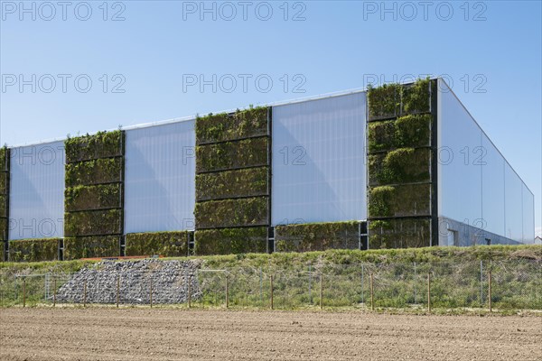 Greened factory facade