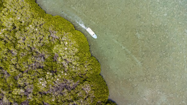 Aerial of the Mangrove forest