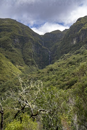 Wooded mountains with waterfall