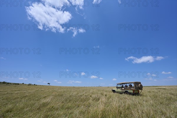 Savannah Landscape with Safari Car