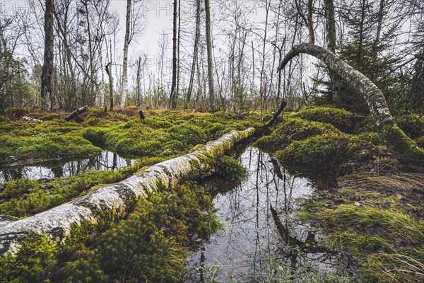 Nature reserve