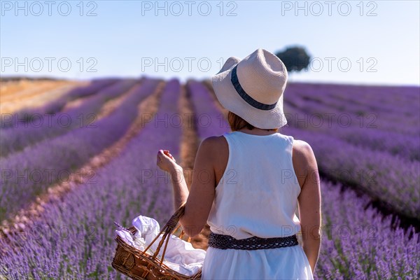 A woman in a white dress in a summer lavender field