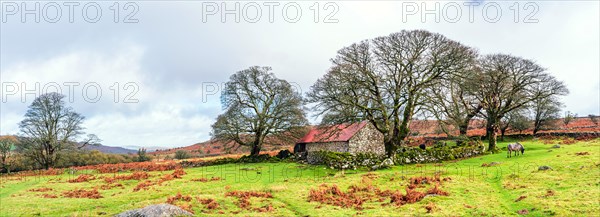 Panorama of Emsworthy Mire