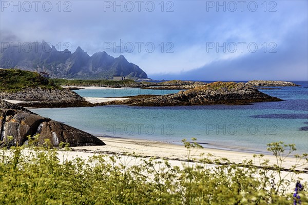 Coastline with natural beach in summer