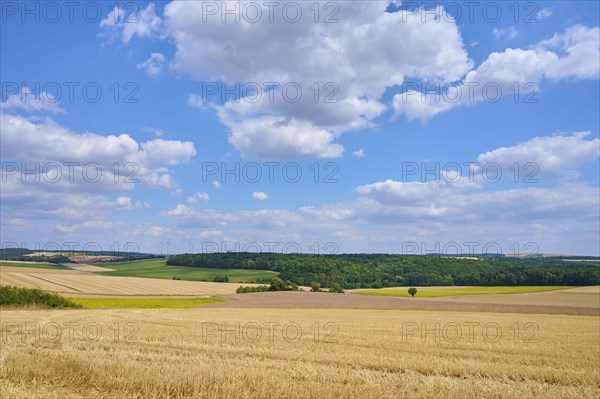 Field landscape with harvested grainfields in summer