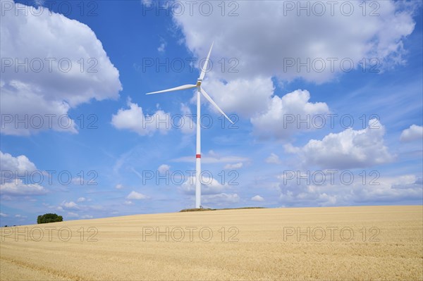 Harvested field with wind turbine in summer