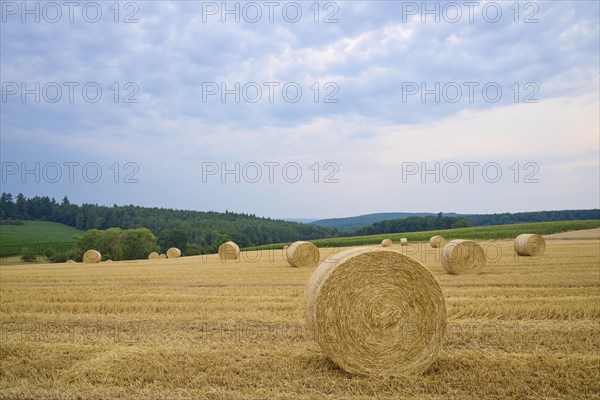 Landscape with hay field and straw bales