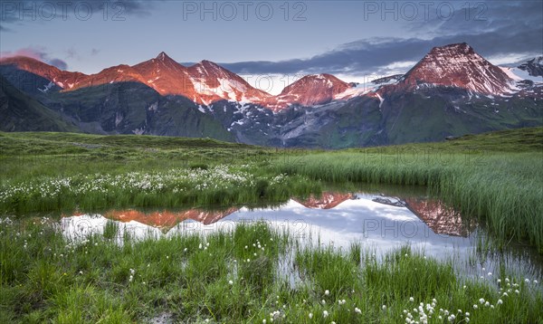 Woolgrass with mountain panorama and reflection