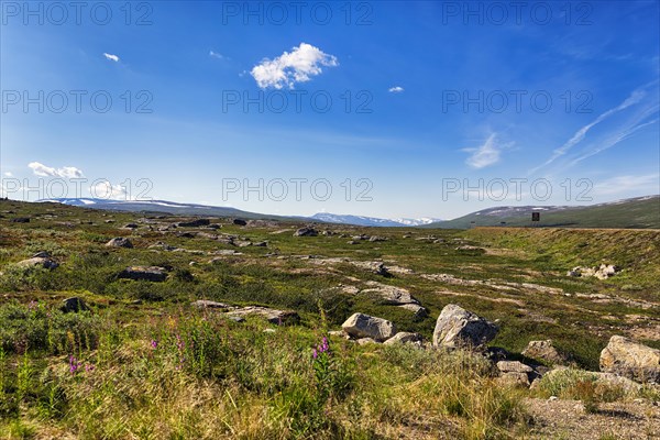 Barren treeless landscape at the Arctic Circle