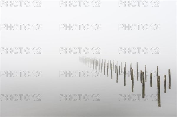 Anchor piles in the fog on autumnal Lake Duemmer