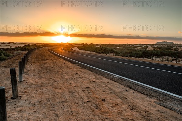 Empty asphalt road through the desert or dunes. Sunrise over the road