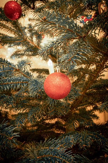 A red Christmas tree ball on a Christmas tree is Christmas tree lighting in the background