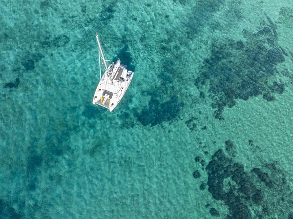 Sailing catamaran from above