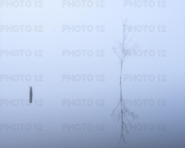 Lake Duemmer in the fog
