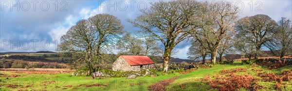 Panorama of Emsworthy Mire