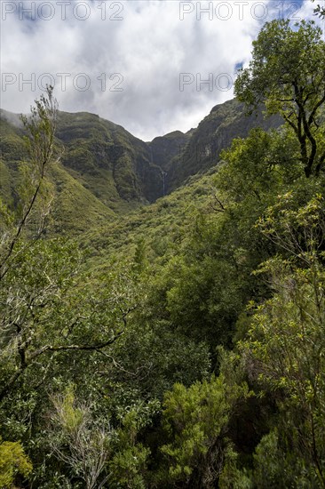 Wooded mountains with waterfall