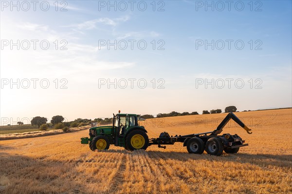 Workers working on crops in a field