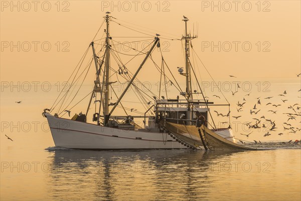 Fishing boat trawling in the North Sea