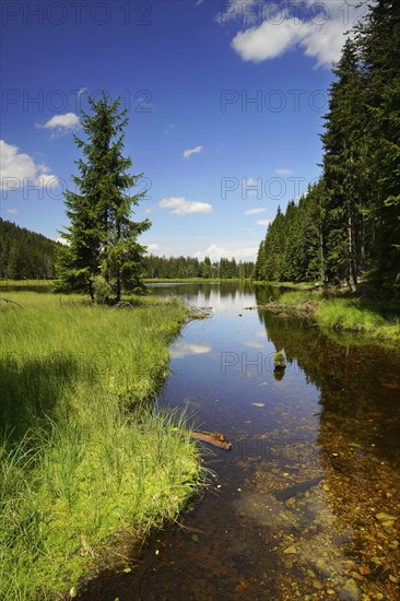 Kleiner Arbersee