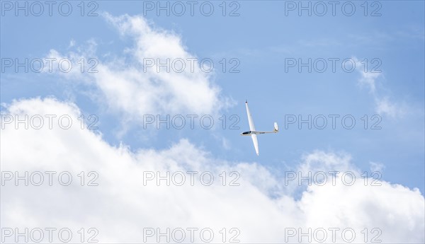 Gliders in the sky