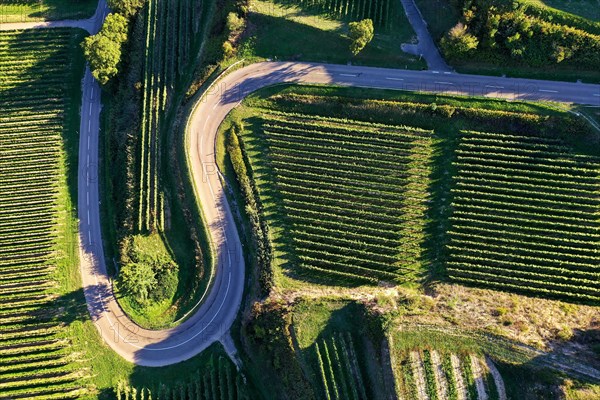 Aerial view of the Texas Pass at the Kaiserstuhl with a view of the vineyards. Oberbergen