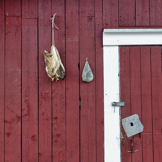 Red fisherman's hut