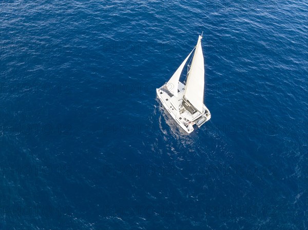 Sailing catamaran in full sail