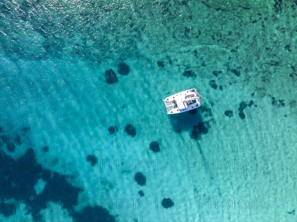 Sailing catamaran from above