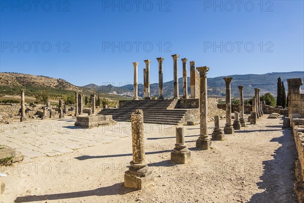 Well-preserved roman ruins in Volubilis