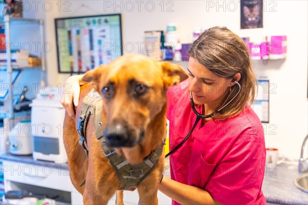 Veterinary clinic