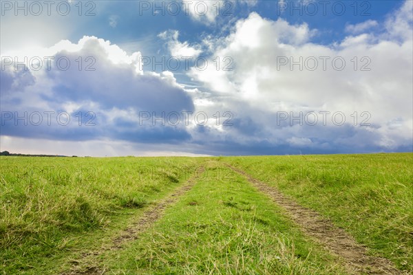 Green country road with clouds in the background. Idyllic view of rural road between green fields with blue sky and clouds
