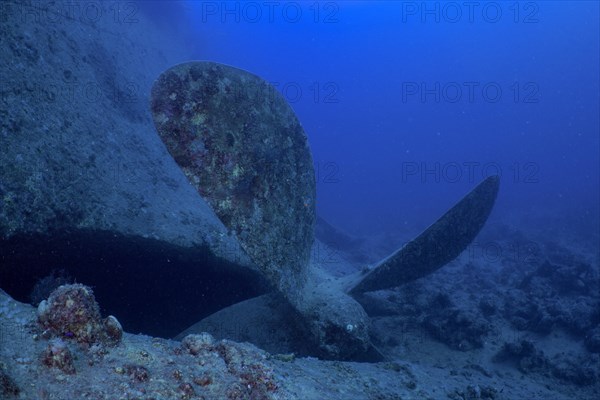 Ship's propeller of the Thistlegorm from the Second World War on the seabed. Dive site Thistlegorm wreck
