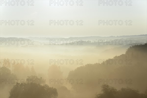 View over valleys and wooded heights in dense early morning fog