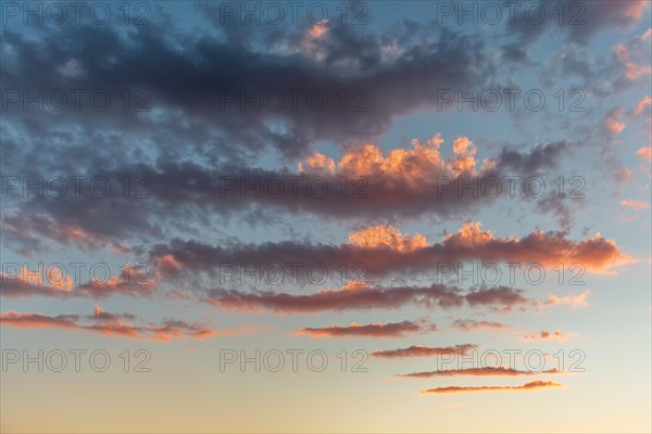Sky of pink and orange clouds in the evening at sunset. Alsace