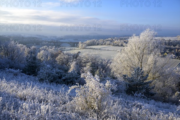 Winter landscape with hoarfrost