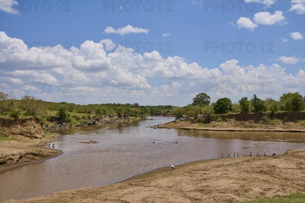 Savannah landscape with river