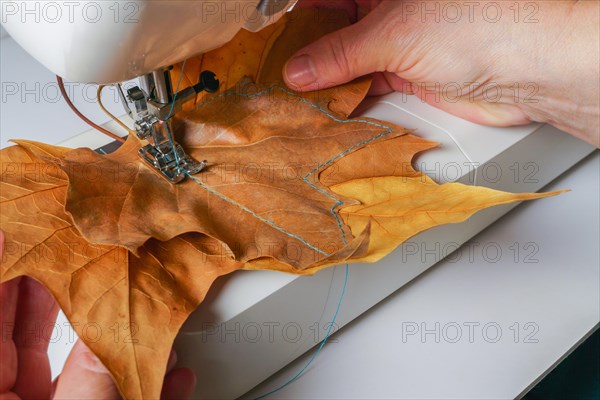 Woman machine sewing dried tree leaves with blue thread