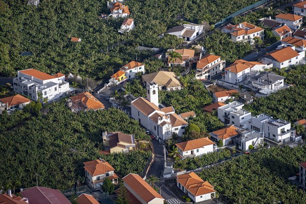 Church and houses between banana plantations from above