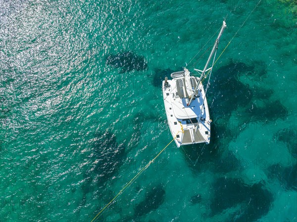 Sailing catamaran from above