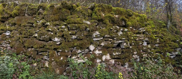 Mossy dry stone wall