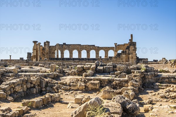 Well-preserved roman ruins in Volubilis