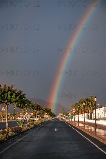 Rainbow over a street with palm trees